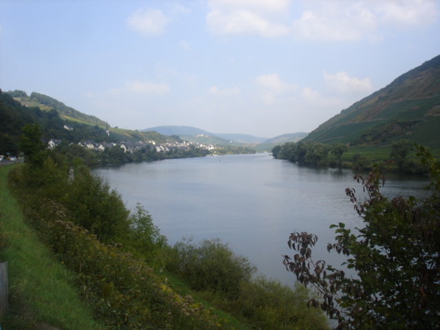 027 - PAYSAGE DES BORDS DE LA MOSELLE 8.JPG